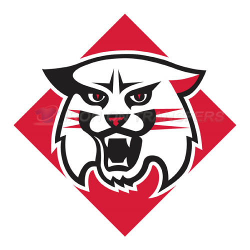 Davidson Wildcats Logo T-shirts Iron On Transfers N4220
